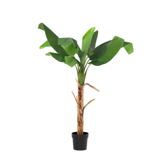 Kunst Bananenplant Musa 80 tot 190 cm