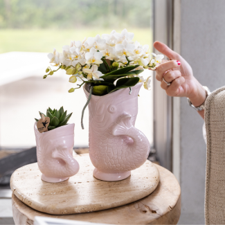 Kolibri Orchids | Set van witte orchidee Nazaré en succulent in Fish sierpot roze - potmaat Ø9cm & Ø6cm | bloeiende kamerplant - vers van de kweker