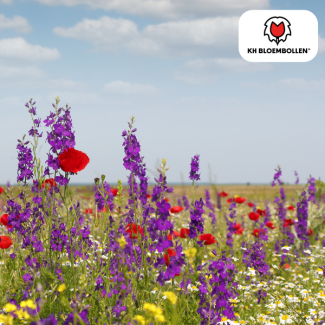 Wilde Bloemenzaad Mix – 100g | Bijen- & Vlindervriendelijk | ± 30–50 m² Bloei