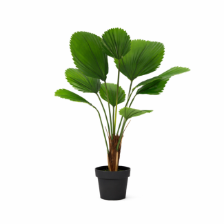 Kunstplant Licuala Grandis 104 cm
