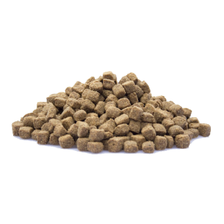 Adult Active – Energievolle Voeding voor Actieve Honden - 20 Kg Hondenbrokken