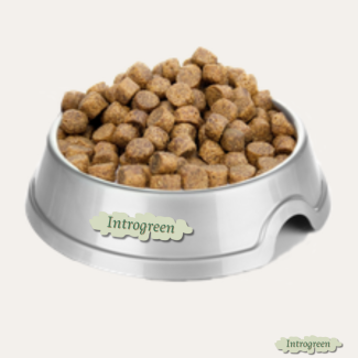Graanvrij Puppyvoer Zalm & Aardappel - Voedzaam voor Pups van Alle Rassen - Super Premium hondenvoer 20 kg
