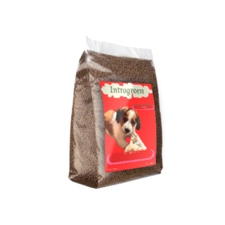 Super Premium Junior Hondenbrokken – De Perfecte Voeding voor Gezonde Groei en Ontwikkeling!