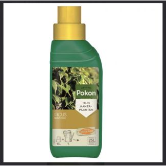 Ficus Plant Food 250ML