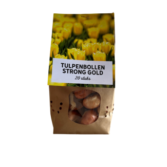 20  Tulpenbollen goud gele tulpen, Strong gold, bloembollen, stevige stelen, mei-april bloeiend