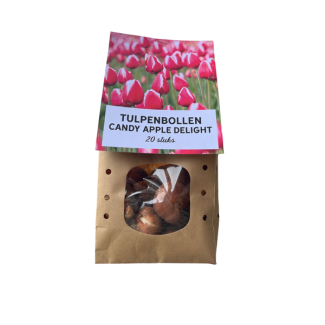 Het Nederlandse Cadeau:  20  Tulpenbollen Candy Apple Delight, bloembollen