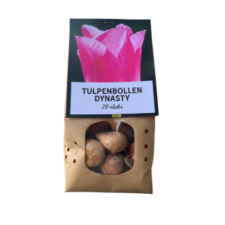 Dynasty - Tulpenbollen 20 stuks, roze bloemen met een subtiele witte rand, bloembollen, leuk cadeau