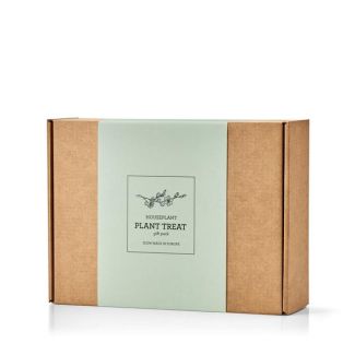 PLANT TREAT | PLANT NURTURE KIT