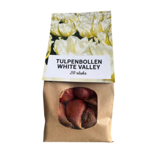 20x White Valley TulpenBollen - bloembollen - tulpen - Wit