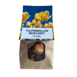 20x Muscadet - Tulpenbollen (20 stuks) - gele bloembollen - tulp