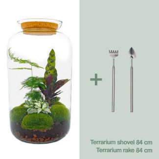 Zelfbouw planten terrarium - Botanische XL pot - 43 x 23 cm - Met planten en toebehoren inc hark en schep