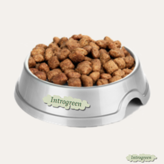 Super Premium Sensitive Hondenvoer – Hypoallergeen, Met Gehydrolyseerde Eiwitten Voor Gevoelige Honden 20 Kg