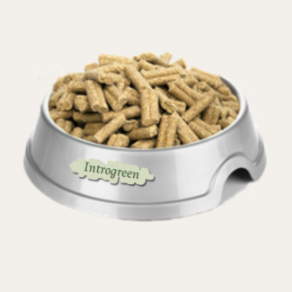 Super Premium Excellent Lam & Rijst – 10 Kg Geperste Voeding voor Volwassen Honden van Alle Rassen