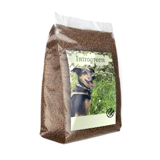Graanvrije Voeding met Kip & Aardappel voor Oudere en Honden en honden met overgewicht - 10 Kg Super Premium Senior/Light