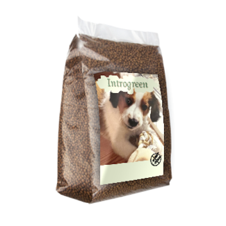 Graanvrij Puppy/Junior Kip & Aardappel - Super Premium - Voeding voor een Gezonde Start 20 kg