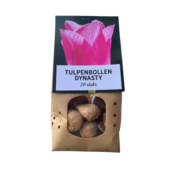 Dynasty - Tulpenbollen 20 stuks, roze bloemen met een subtiele witte rand, bloembollen, leuk cadeau