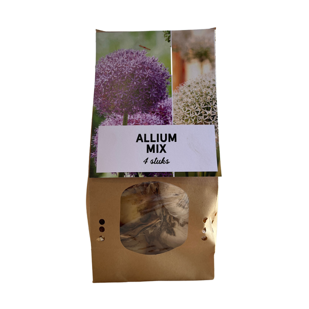 Allium Mix bollen / sieruien 4 stuks - Verschillende soorten Allium bollen