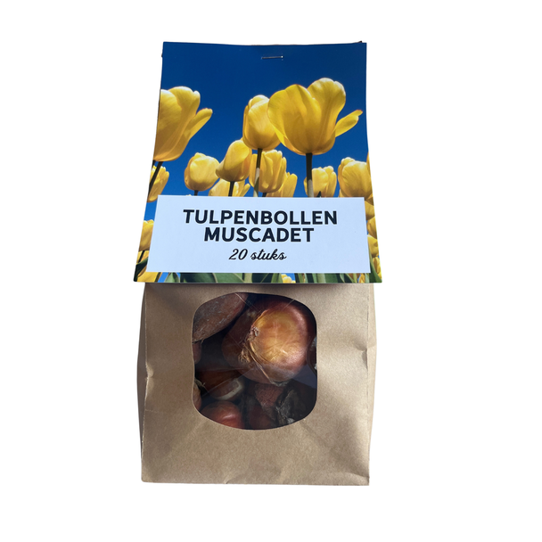 20x Muscadet - Tulpenbollen (20 stuks) - gele bloembollen - tulp