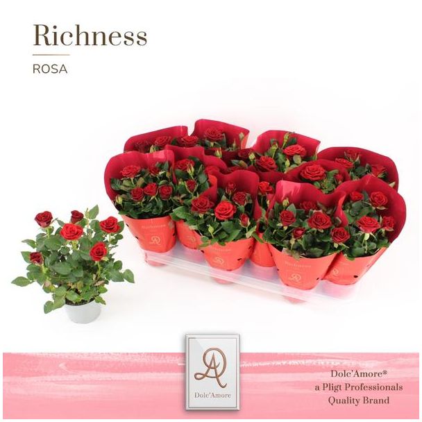 set van 4  Potroos Rood  Metallic - Ø10,5cm - ↕25cm