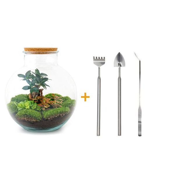DIY terrarium - Bolder Bob Bonsai - ↕ 30 cm - Rake + Shovel + Tweezer