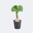 Beeld