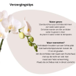 Beeld
