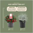 Beeld