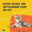 Beeld
