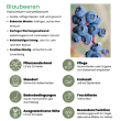 Beeld