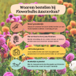 Beeld