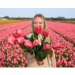 Beeld