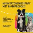 Beeld