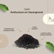 Beeld