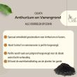 Beeld