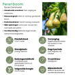 Beeld
