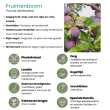 Beeld