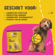 Beeld