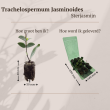 Beeld