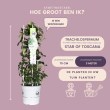 Beeld