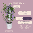 Beeld