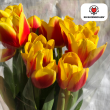 Beeld