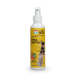 Beeld