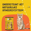 Beeld