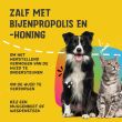 Beeld