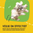 Beeld