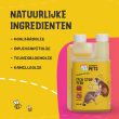 Beeld