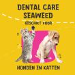 Beeld