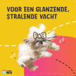 Beeld