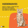 Beeld