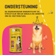 Beeld